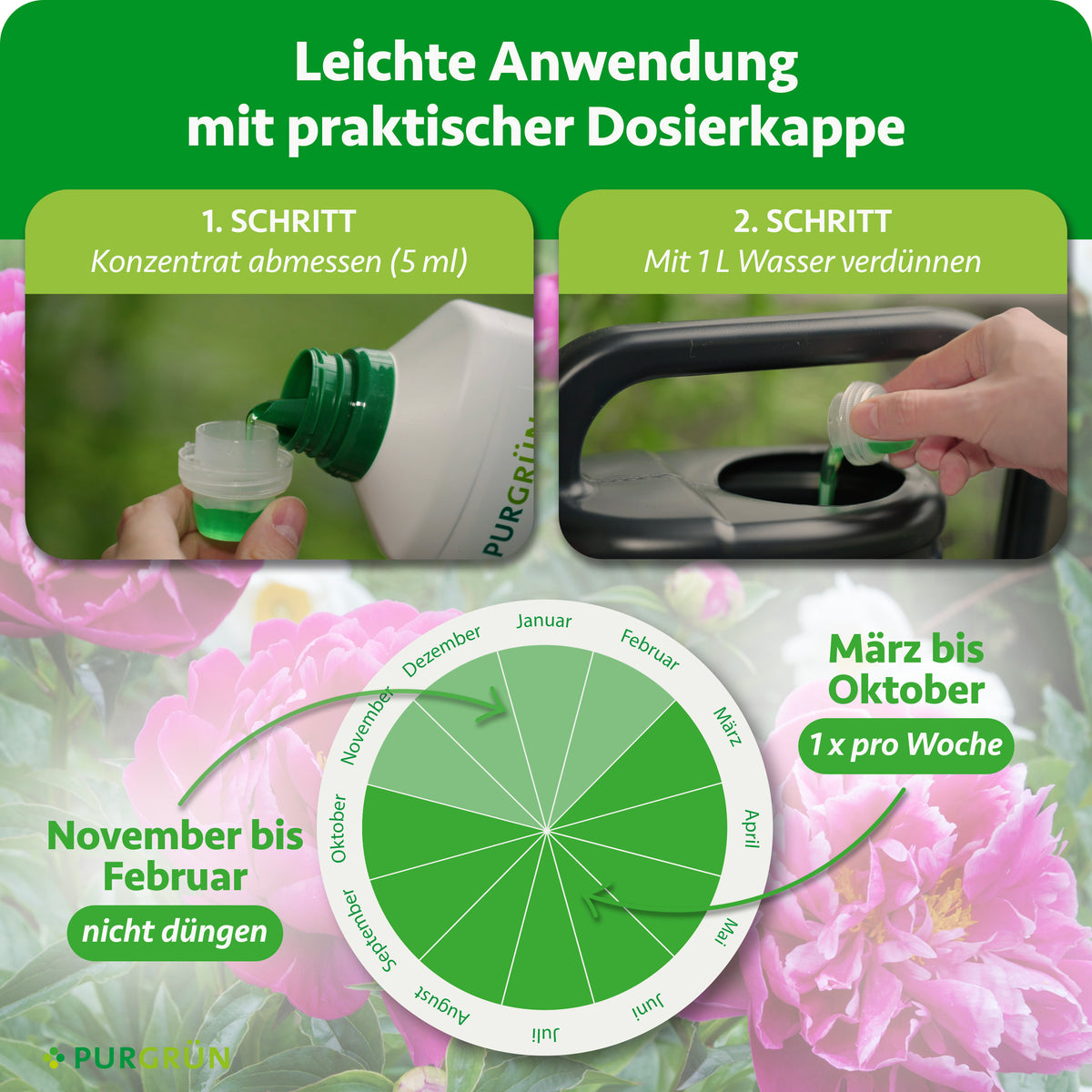 Anwendung: 5 ml Konzentrat abmessen, mit 1 Liter Wasser verdünnen und von März bis Oktober einmal pro Woche düngen; von November bis Februar nicht düngen.