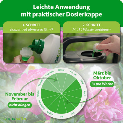 Anwendung: 5 ml Konzentrat abmessen, mit 1 Liter Wasser verdünnen und von März bis Oktober einmal pro Woche düngen; von November bis Februar nicht düngen.