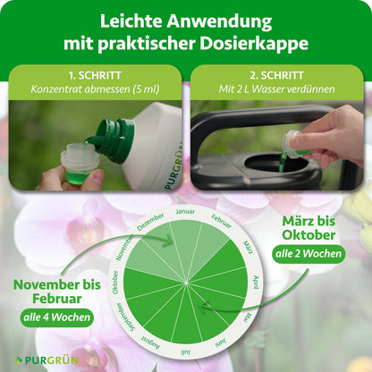 Anwendung: 5 ml Konzentrat mit 2 Litern Wasser verdünnen; von März bis Oktober alle 2 Wochen, von November bis Februar alle 4 Wochen düngen.