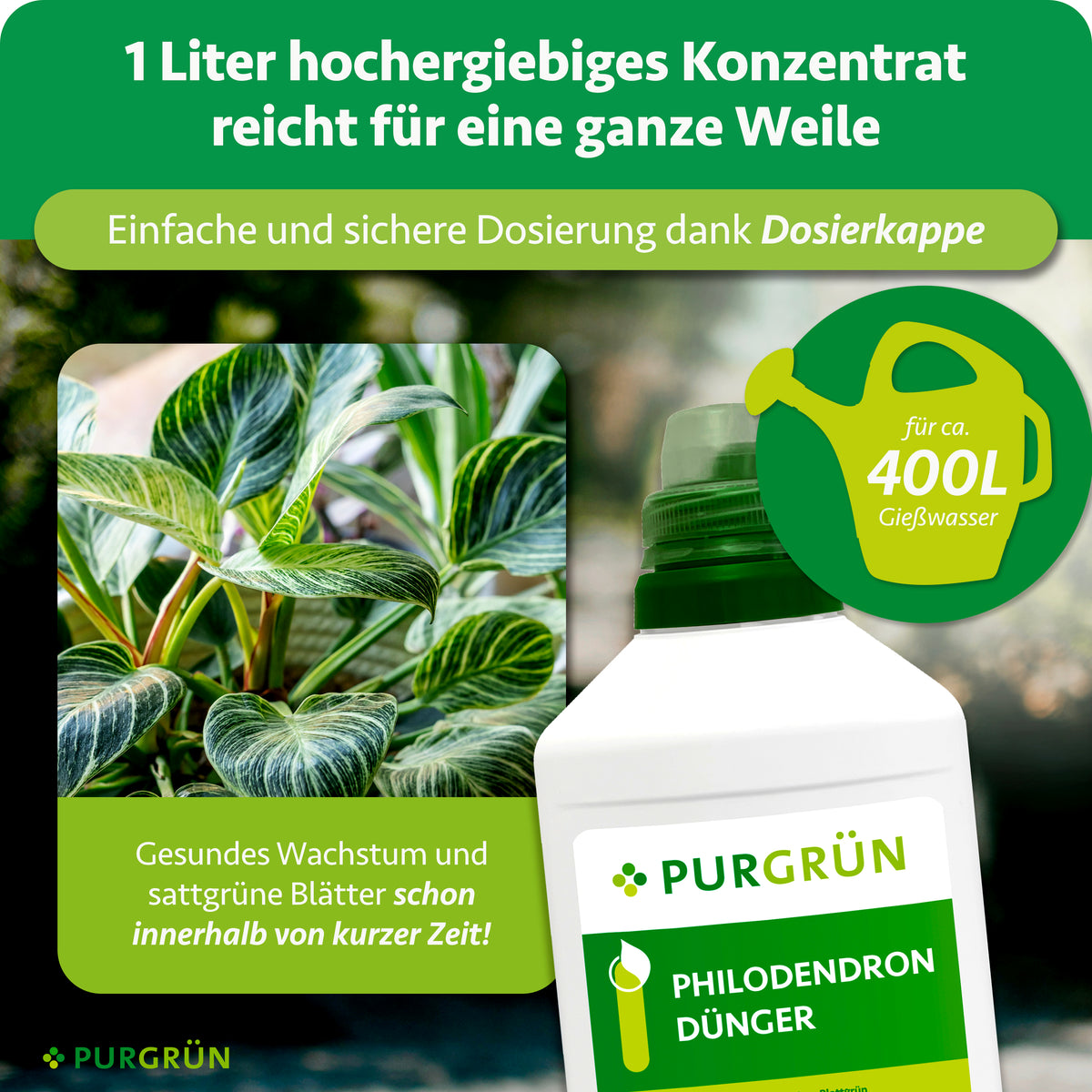 1 Liter Konzentrat reicht dank Dosierkappe für ca. 400 Liter Gießwasser und soll sattgrüne Blätter innerhalb kurzer Zeit fördern.