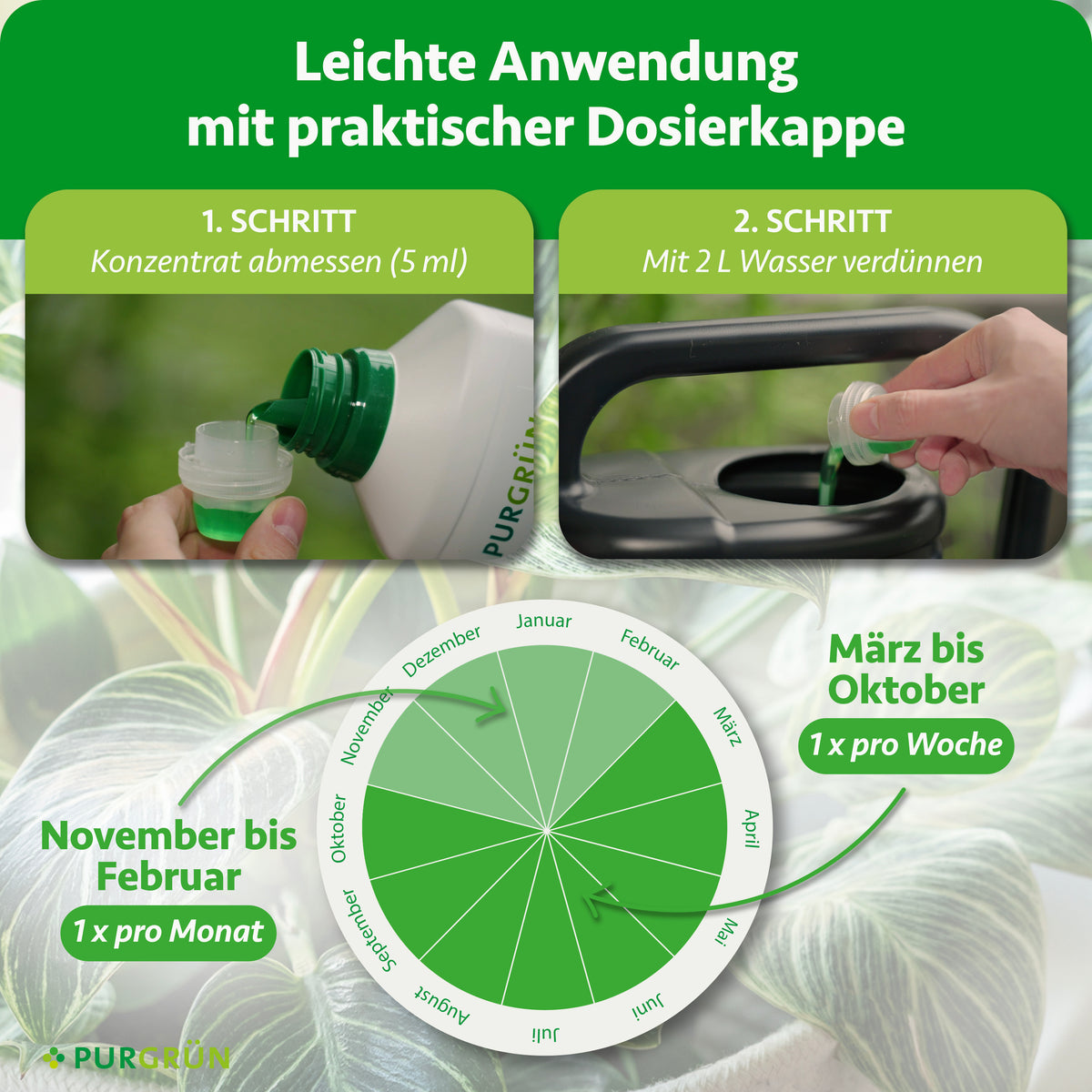 Anwendung: 5 ml Konzentrat mit 2 l Wasser verdünnen; März bis Oktober 1× pro Woche, November bis Februar 1× pro Monat.