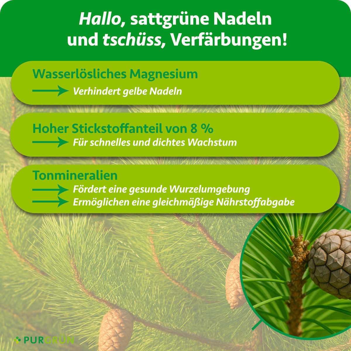 Wasserlösliches Magnesium verhindert gelbe Nadeln, 8 % Stickstoff fördern schnelles, dichtes Wachstum. Tonmineralien unterstützen eine gesunde Wurzelumgebung und gleichmäßige Nährstoffabgabe.