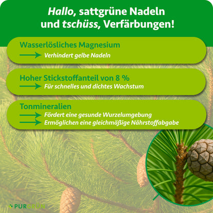Wasserlösliches Magnesium verhindert gelbe Nadeln, 8 % Stickstoff fördern schnelles, dichtes Wachstum. Tonmineralien unterstützen eine gesunde Wurzelumgebung und gleichmäßige Nährstoffabgabe.
