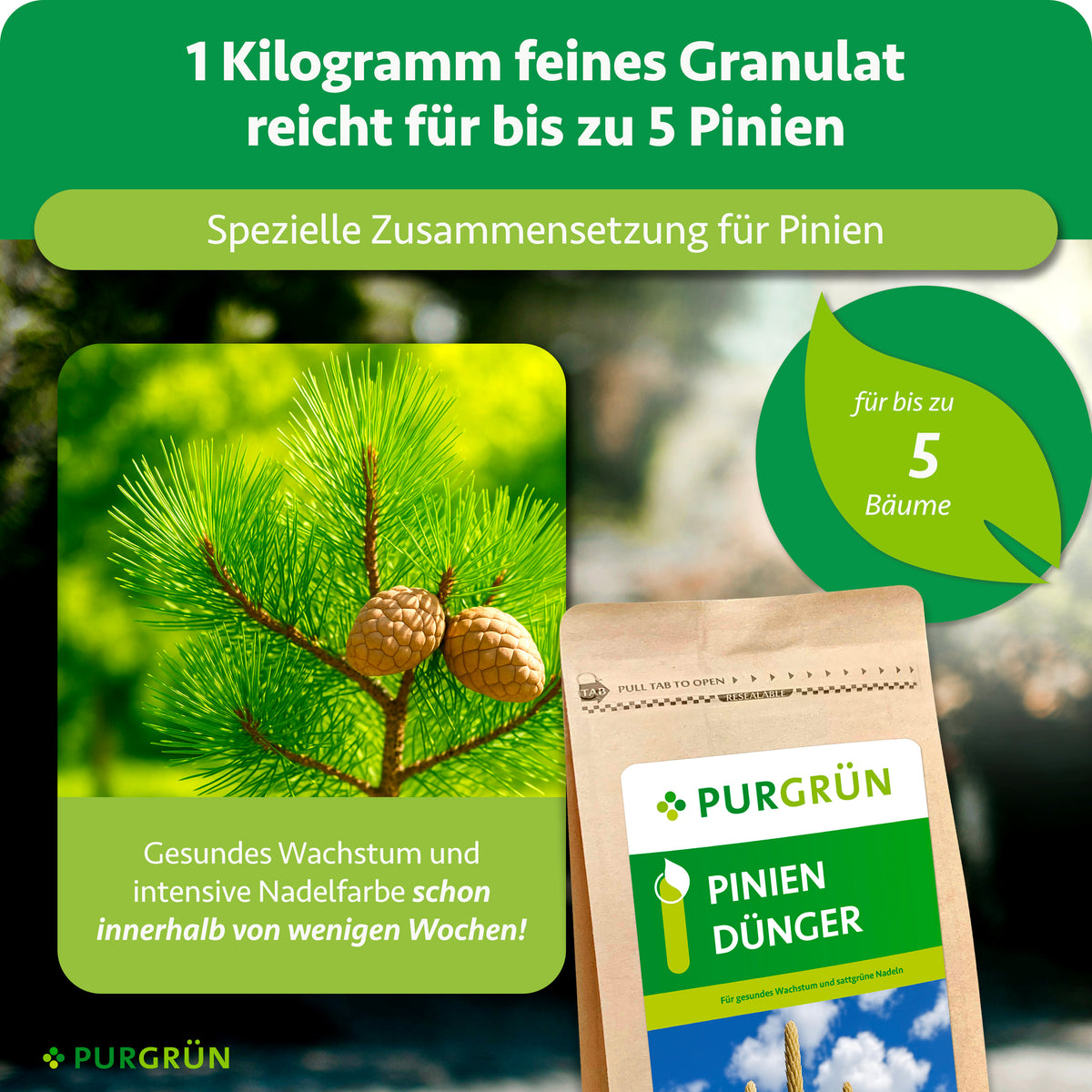 1 kg feines Granulat reicht für ca. 4–5 Pinien; die spezielle Zusammensetzung fördert gesundes Wachstum und intensive Nadelfarbe innerhalb weniger Wochen.