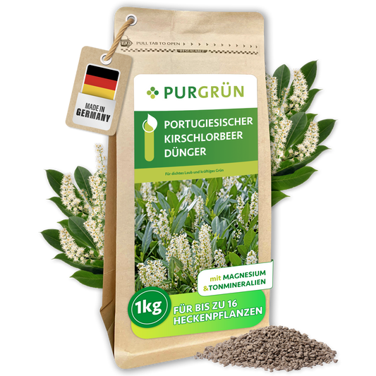 Standbeutel Portugiesischer-Kirschlorbeer-Dünger, 1 kg, mit Magnesium und Tonmineralien, vor blühendem Kirschlorbeer und feinem Granulat.