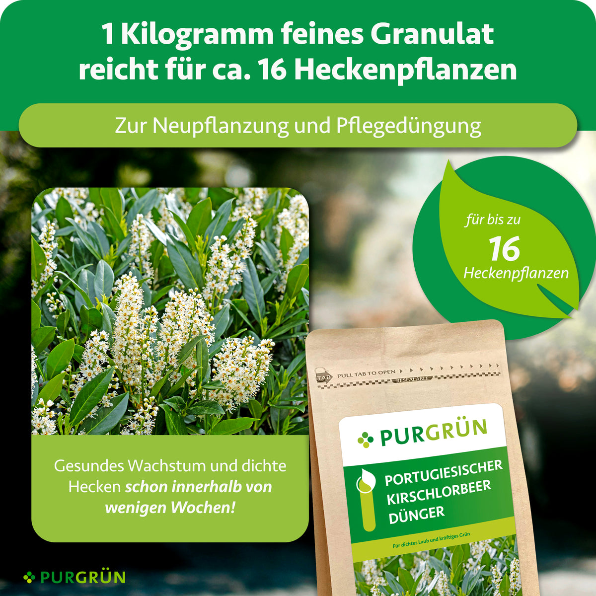1 kg feines Granulat reicht für ca. 16 Heckenpflanzen und eignet sich zur Neupflanzung sowie Pflegedüngung.