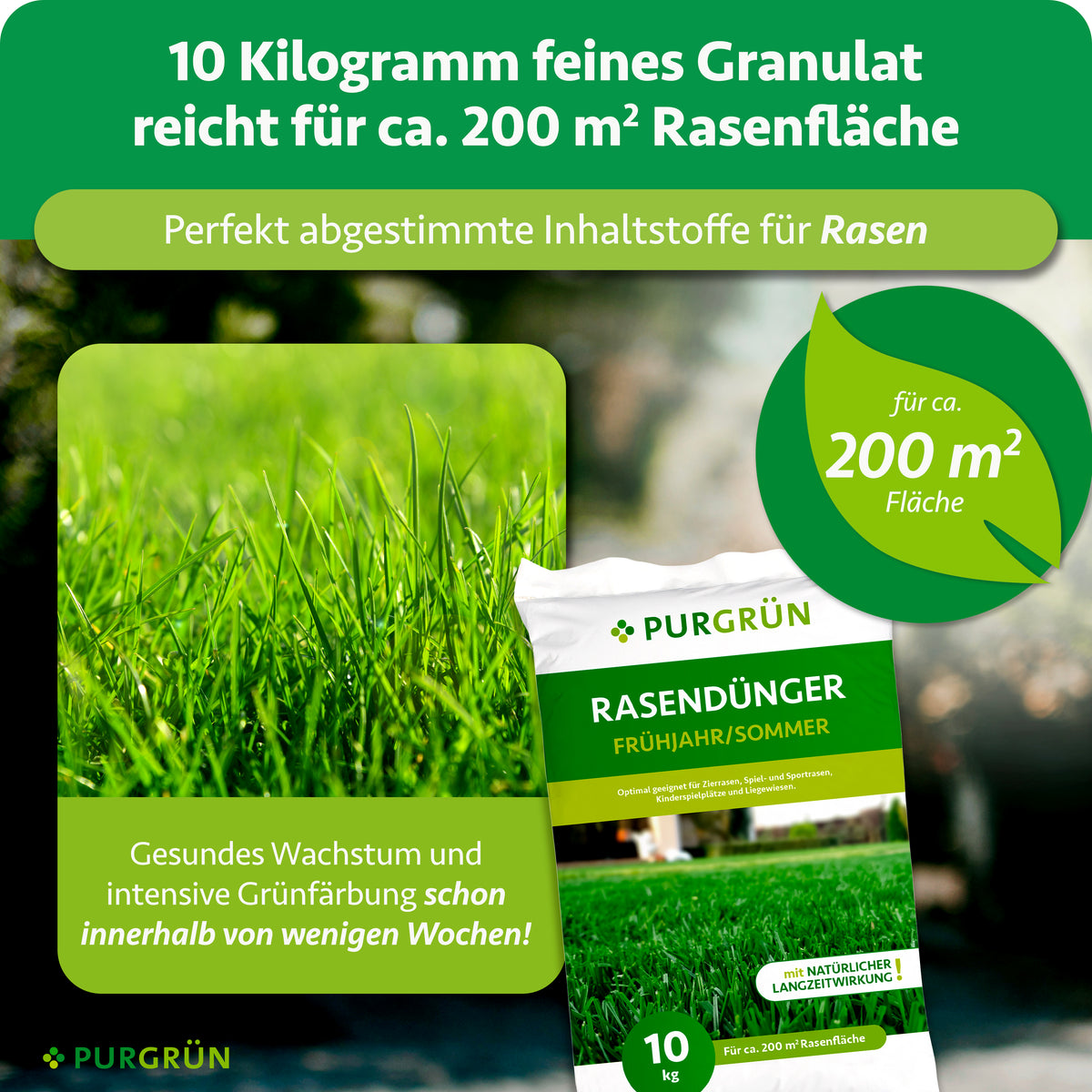 10 kg feines Granulat reichen für ca. 200 m² Rasenfläche und fördern gesundes Wachstum sowie intensive Grünfärbung innerhalb weniger Wochen.