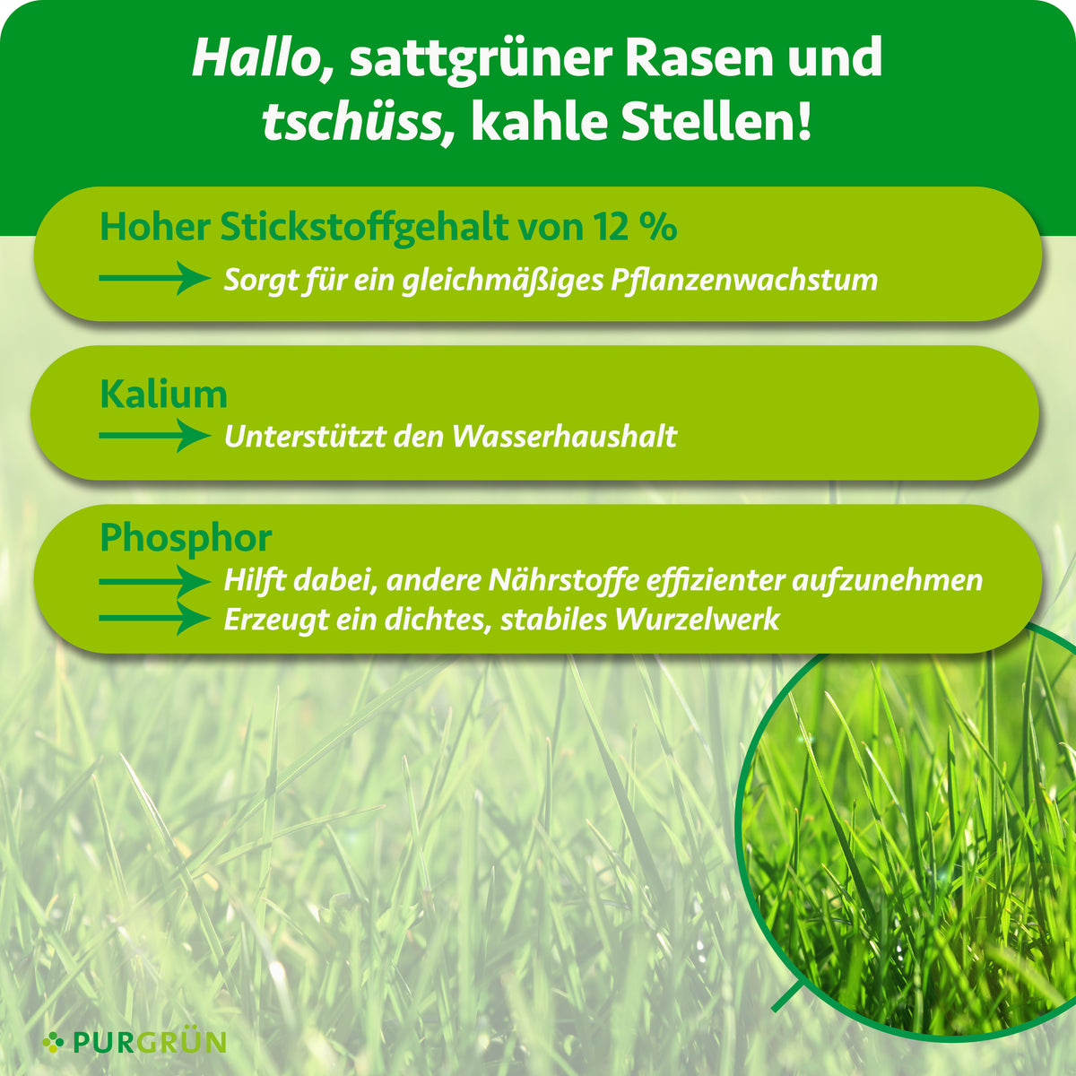 12 % Stickstoff unterstützen gleichmäßiges Pflanzenwachstum, Kalium den Wasserhaushalt und Phosphor die Nährstoffaufnahme sowie ein dichtes, stabiles Wurzelwerk.
