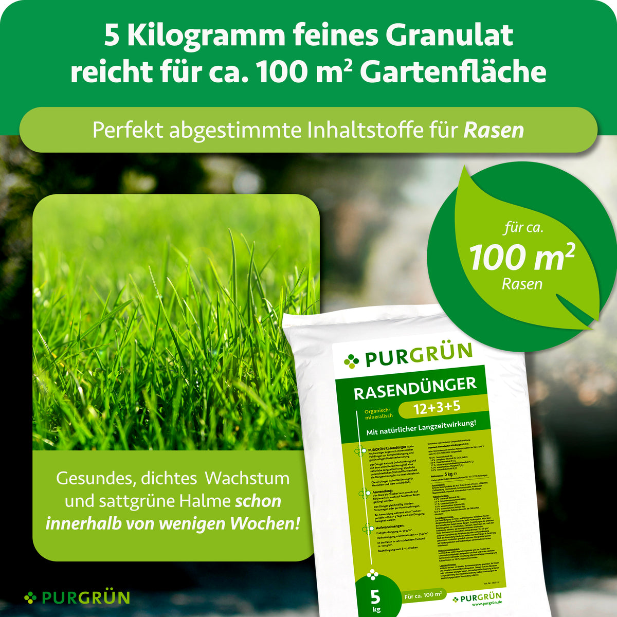 5 kg feines Granulat reichen für ca. 100 m² Rasen; abgestimmte Inhaltsstoffe fördern gesundes, dichtes Wachstum und sattgrüne Halme innerhalb weniger Wochen.