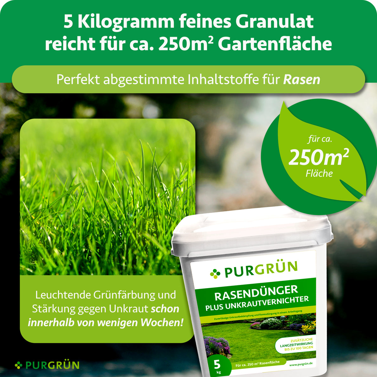5 kg feines Granulat reichen für ca. 250 m² Gartenfläche und fördern innerhalb weniger Wochen eine leuchtende Grünfärbung und die Stärkung gegen Unkraut.