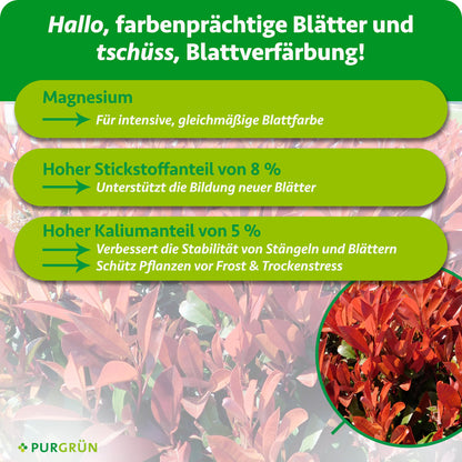 Magnesium unterstützt eine intensive, gleichmäßige Blattfarbe; 8 % Stickstoff fördern neue Blätter, 5 % Kalium stärken Stängel und Blätter und schützen vor Frost- und Trockenstress.