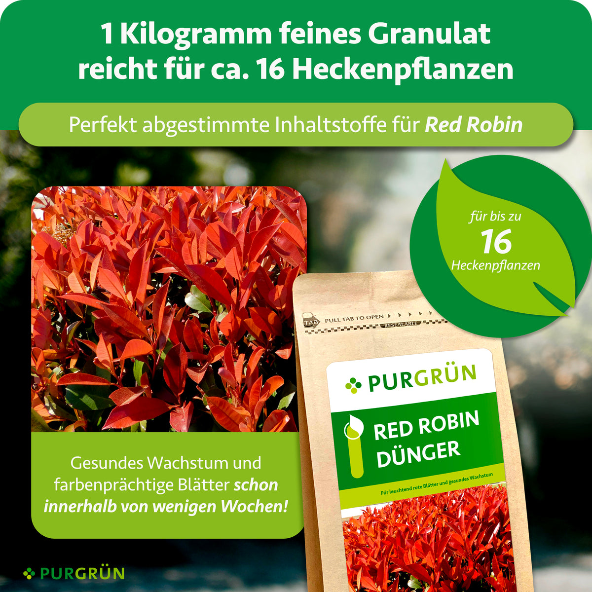 1 Kilogramm feines Granulat reicht für ca. 16 Heckenpflanzen und unterstützt gesundes Wachstum sowie farbenprächtige Blätter innerhalb weniger Wochen.