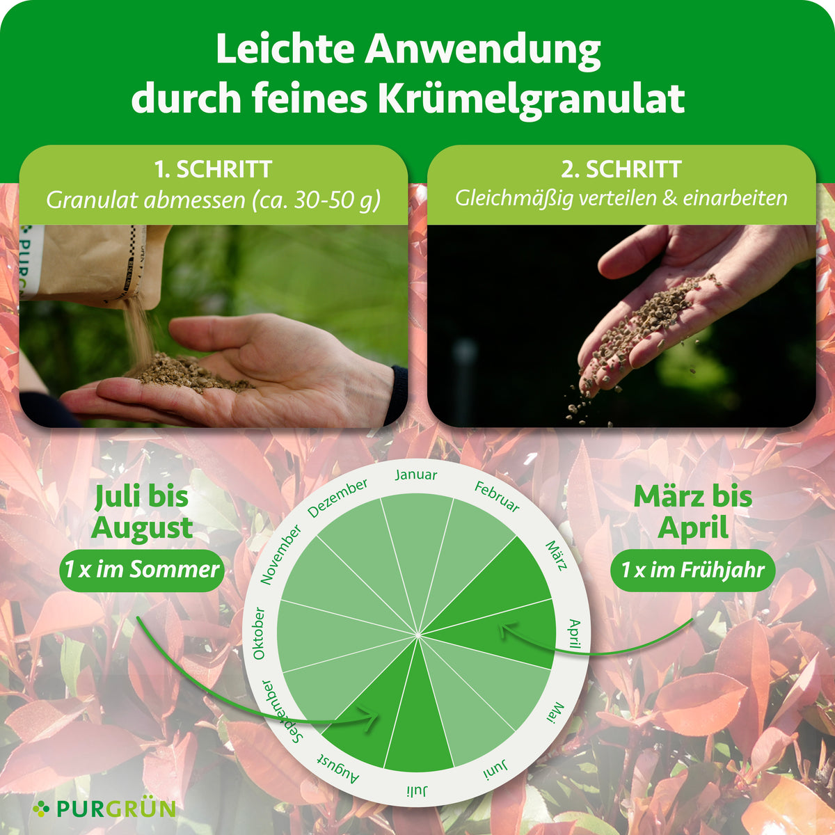Anwendung: ca. 30–50 g Granulat abmessen, gleichmäßig verteilen und einarbeiten; einmal von März bis April und einmal von Juli bis August düngen.