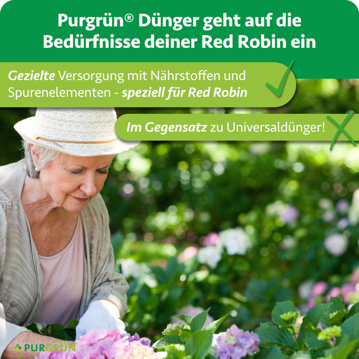 Eine ältere Frau arbeitet im Garten; hervorgehoben wird die gezielte Versorgung von Red Robin mit Nährstoffen und Spurenelementen statt Universaldünger.