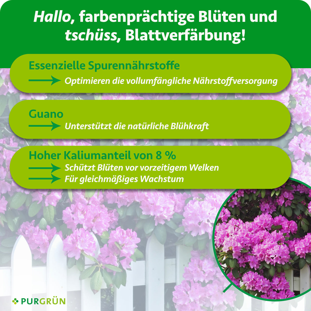 Essenzielle Spurennährstoffe optimieren die Nährstoffversorgung, Guano unterstützt die natürliche Blühkraft. 8 % Kalium fördern gleichmäßiges Wachstum und schützen Blüten vor vorzeitigem Welken.