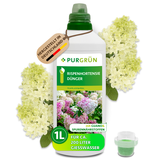 Purgrün Rispenhortensie-Dünger, 1 Liter, mit grüner Dosierkappe und cremeweißen Rispenhortensien; ausreichend für ca. 200 Liter Gießwasser.