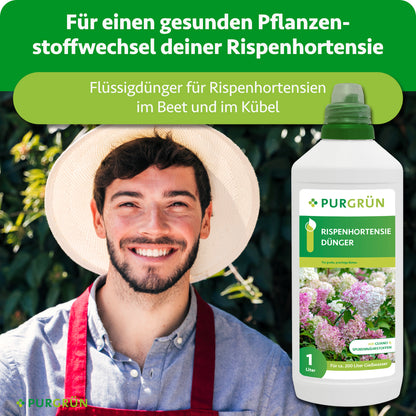 Flüssigdünger für Rispenhortensien im Beet und Kübel zur Unterstützung eines gesunden Pflanzenstoffwechsels, präsentiert von einem Gärtner.