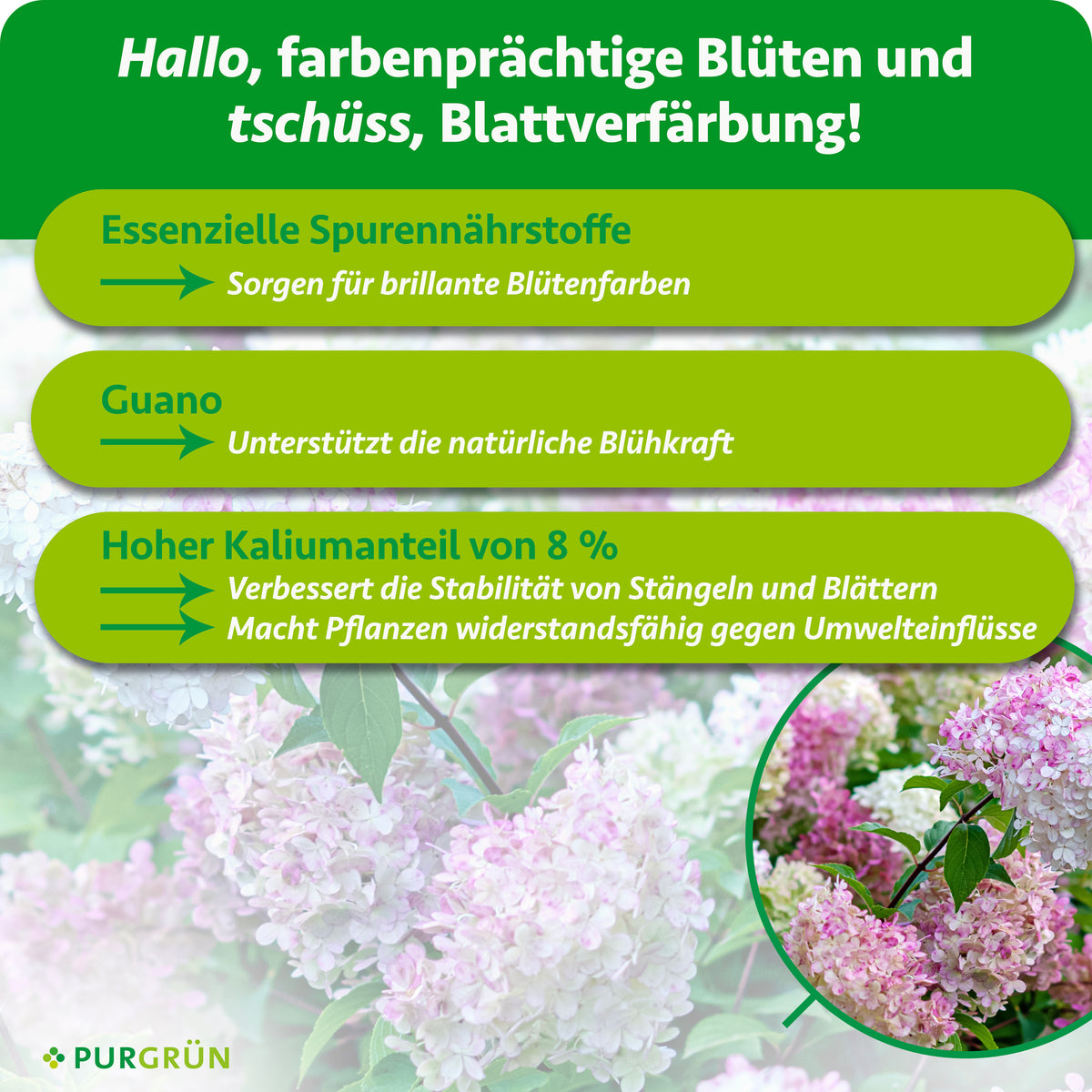 Essenzielle Spurennährstoffe sorgen für brillante Blütenfarben, Guano unterstützt die natürliche Blühkraft. 8 % Kalium verbessern die Stabilität und Widerstandsfähigkeit der Pflanze.
