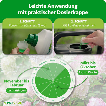 Anwendung: 5 ml Konzentrat abmessen und mit 1 L Wasser verdünnen; von März bis Oktober 1-mal pro Woche düngen, von November bis Februar nicht düngen.