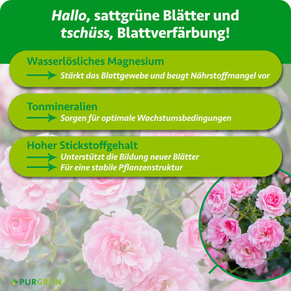 Wasserlösliches Magnesium stärkt das Blattgewebe und beugt Nährstoffmangel vor; Tonmineralien schaffen optimale Wachstumsbedingungen, hoher Stickstoffgehalt unterstützt neue Blätter und eine stabile Pflanzenstruktur.