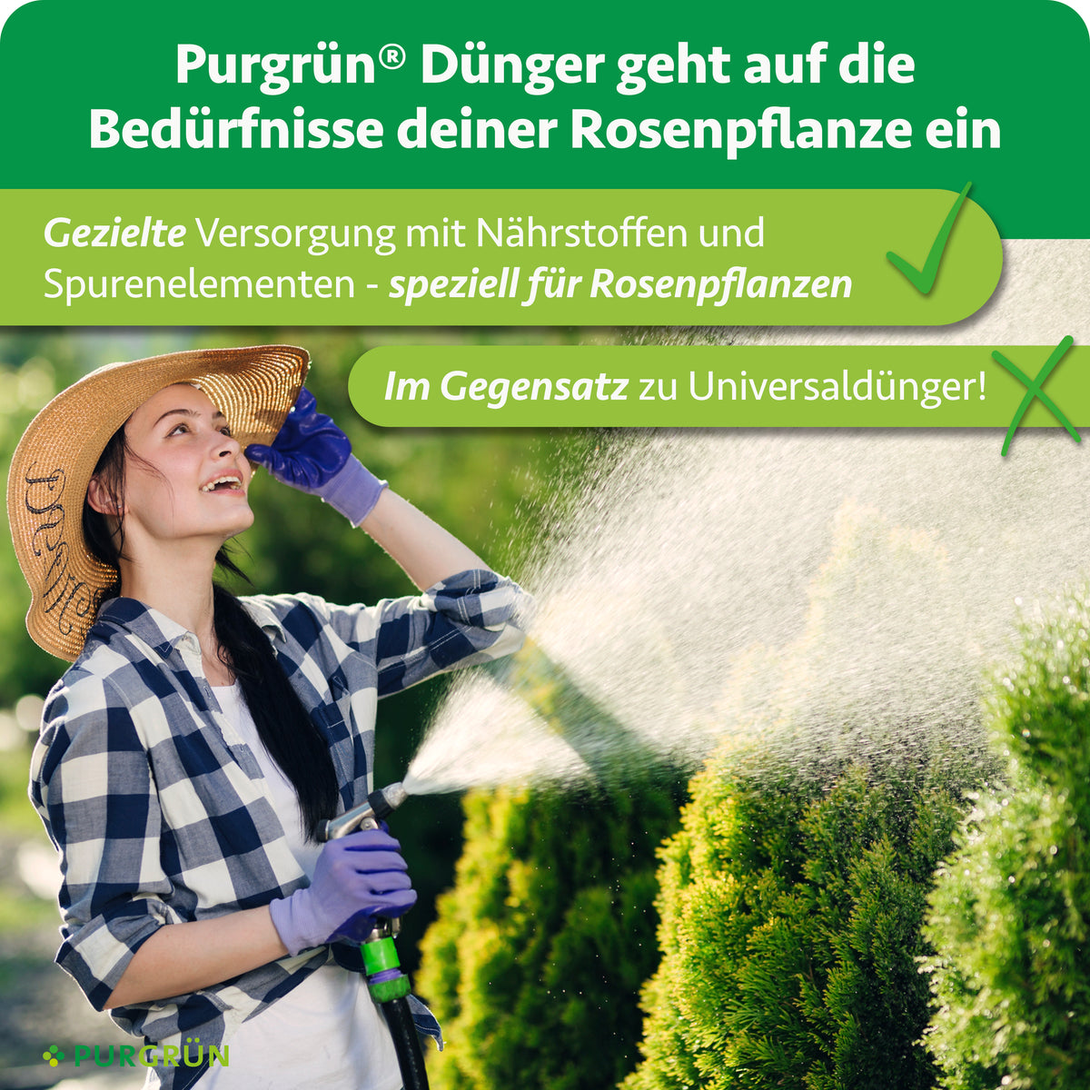 Purgrün Rosendünger versorgt Rosenpflanzen gezielt mit Nährstoffen und Spurenelementen statt mit Universaldünger; eine Gärtnerin bewässert den Garten.