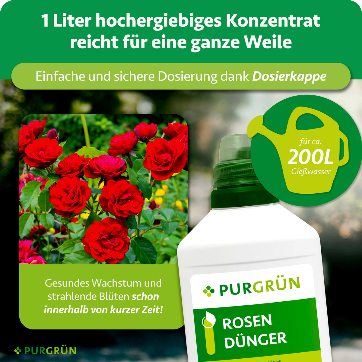 1 Liter hochergiebiges Konzentrat mit Dosierkappe reicht für ca. 200 Liter Gießwasser; daneben sind rote Rosen und die Düngerflasche dargestellt.