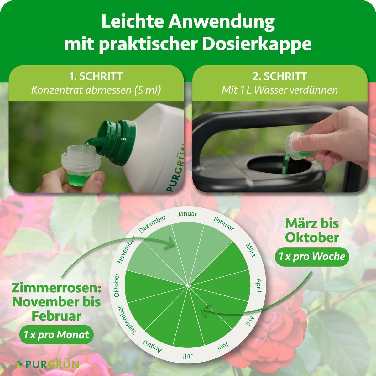 Anwendung: 5 ml Konzentrat abmessen und mit 1 Liter Wasser verdünnen. März bis Oktober einmal pro Woche, Zimmerrosen von November bis Februar einmal pro Monat.