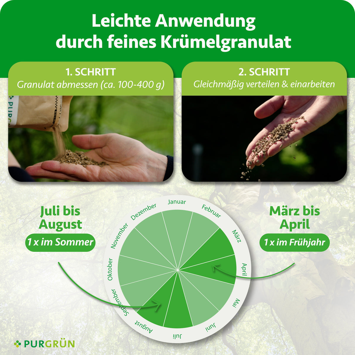 Ca. 100–400 g Granulat abmessen, gleichmäßig verteilen und einarbeiten. Einmal von März bis April und einmal von Juli bis August düngen.