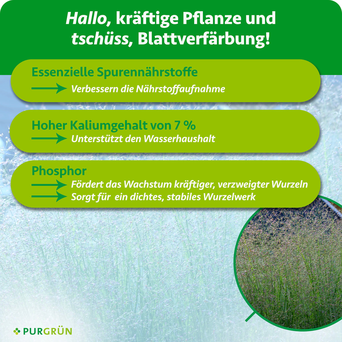 Spurennährstoffe verbessern die Nährstoffaufnahme, 7 % Kalium unterstützen den Wasserhaushalt und Phosphor fördert kräftige, verzweigte Wurzeln.