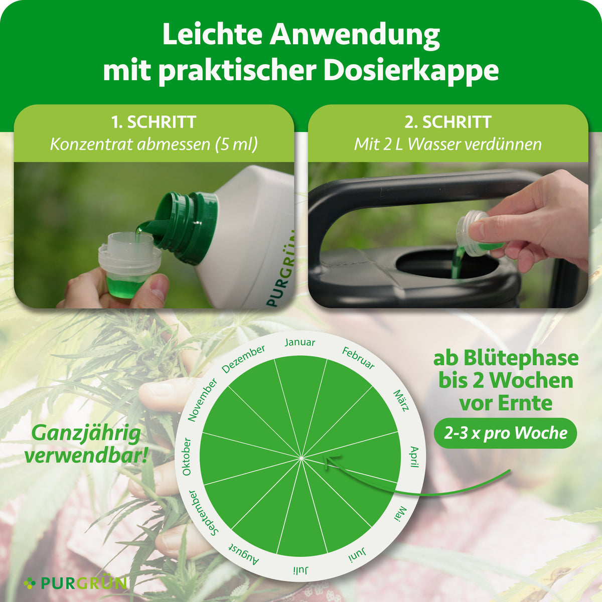 5 ml Konzentrat abmessen und mit 2 l Wasser verdünnen. Ganzjährig ab der Blütephase bis 2 Wochen vor der Ernte 2–3-mal pro Woche anwenden.