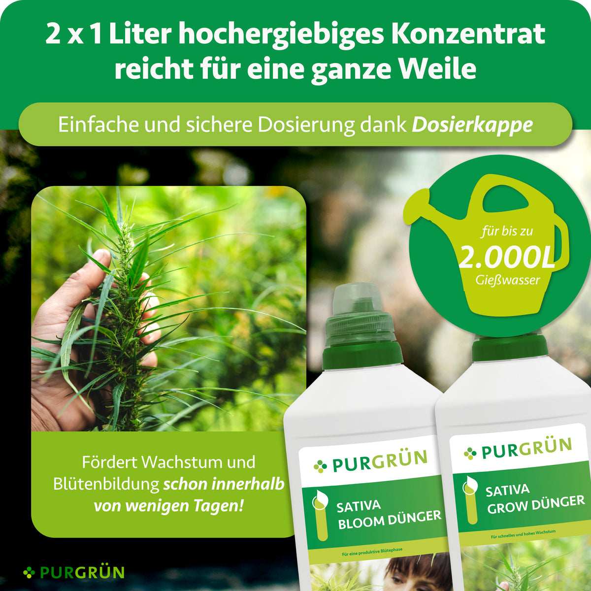 2 × 1 Liter Konzentrat mit Dosierkappe reichen laut Grafik für bis zu 2.000 Liter Gießwasser und fördern Wachstum und Blütenbildung innerhalb weniger Tage.