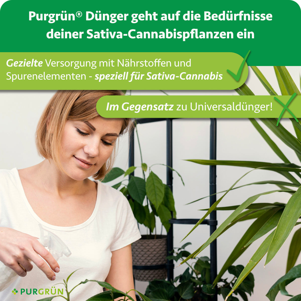 Eine Frau pflegt Zimmerpflanzen; die Grafik hebt die gezielte Versorgung von Sativa-Cannabis mit Nährstoffen und Spurenelementen statt Universaldünger hervor.