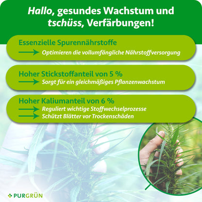 Essenzielle Spurennährstoffe optimieren die Nährstoffversorgung; 5 % Stickstoff fördern gleichmäßiges Wachstum, 6 % Kalium reguliert Stoffwechselprozesse und schützt Blätter vor Trockenschäden.