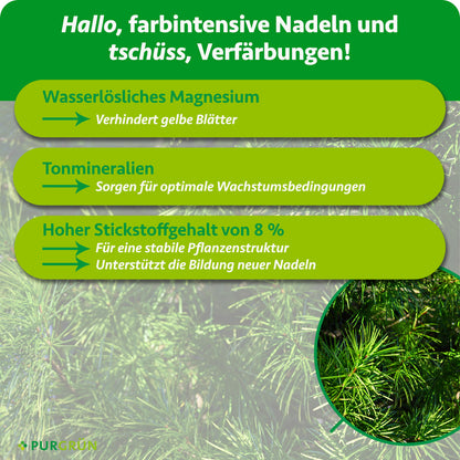 Wasserlösliches Magnesium verhindert gelbe Blätter, Tonmineralien sorgen für optimale Wachstumsbedingungen. 8 % Stickstoff unterstützen eine stabile Pflanzenstruktur und die Bildung neuer Nadeln.