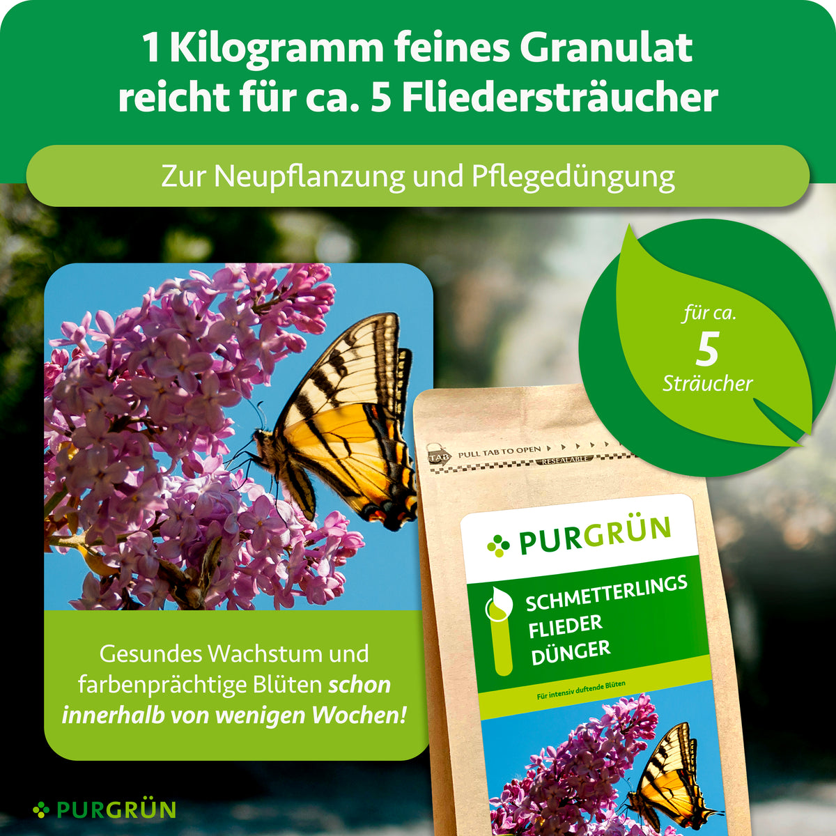 1 kg feines Granulat reicht für ca. 5 Fliedersträucher und dient zur Neupflanzung und Pflegedüngung.