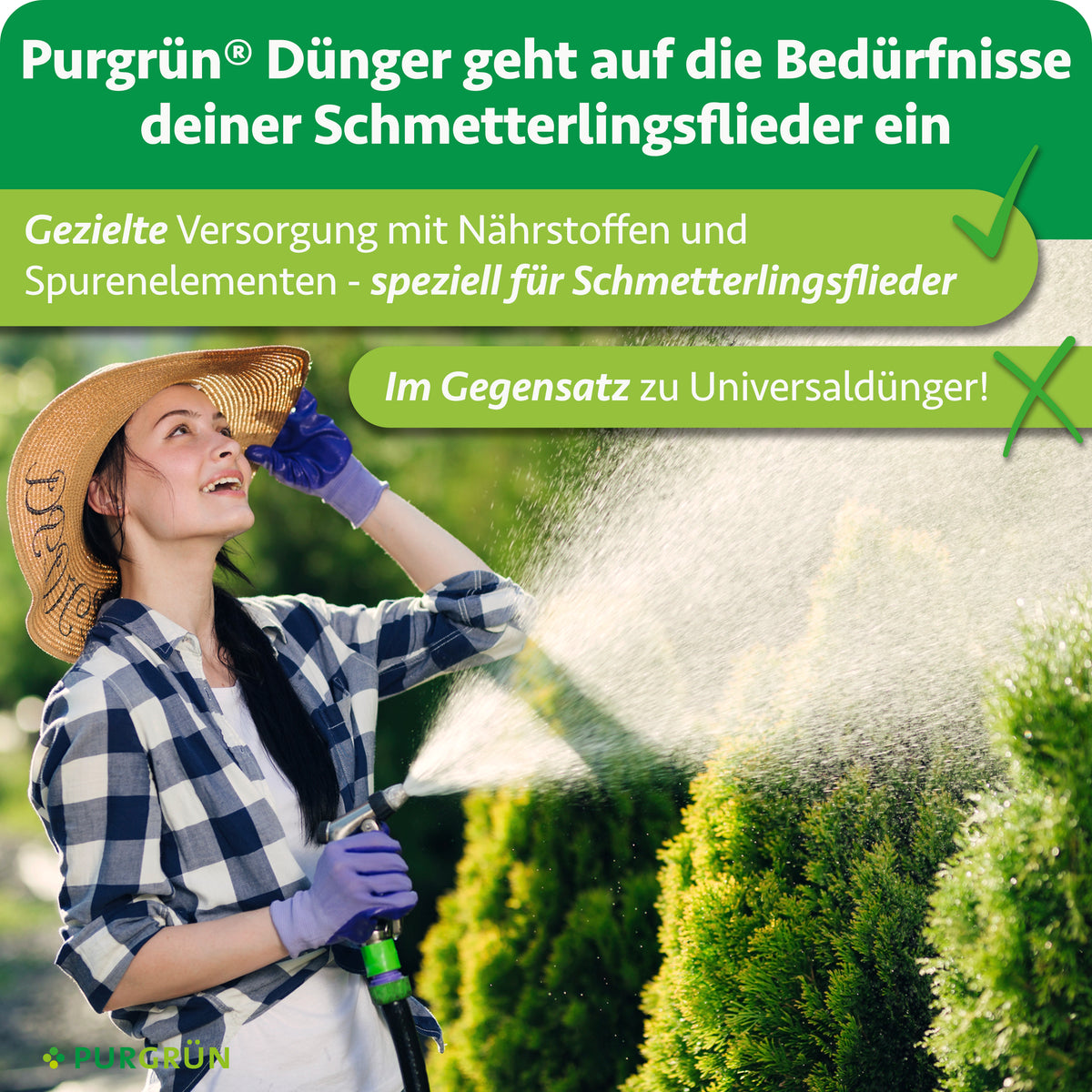 Der Dünger versorgt Schmetterlingsflieder gezielt mit Nährstoffen und Spurenelementen und ist speziell auf ihn abgestimmt – im Gegensatz zu Universaldünger.