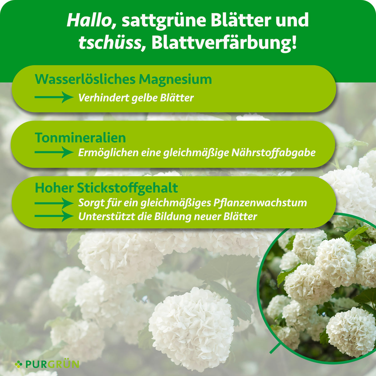 Wasserlösliches Magnesium verhindert gelbe Blätter, Tonmineralien ermöglichen eine gleichmäßige Nährstoffabgabe und hoher Stickstoffgehalt unterstützt Pflanzenwachstum und Blattbildung.