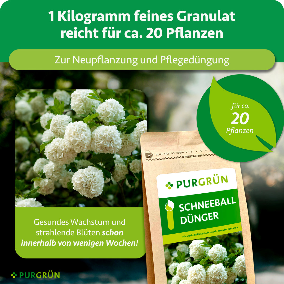 1 kg feines Granulat reicht für ca. 20 Pflanzen und eignet sich zur Neupflanzung und Pflegedüngung. Gesundes Wachstum und strahlende Blüten werden innerhalb weniger Wochen angekündigt.