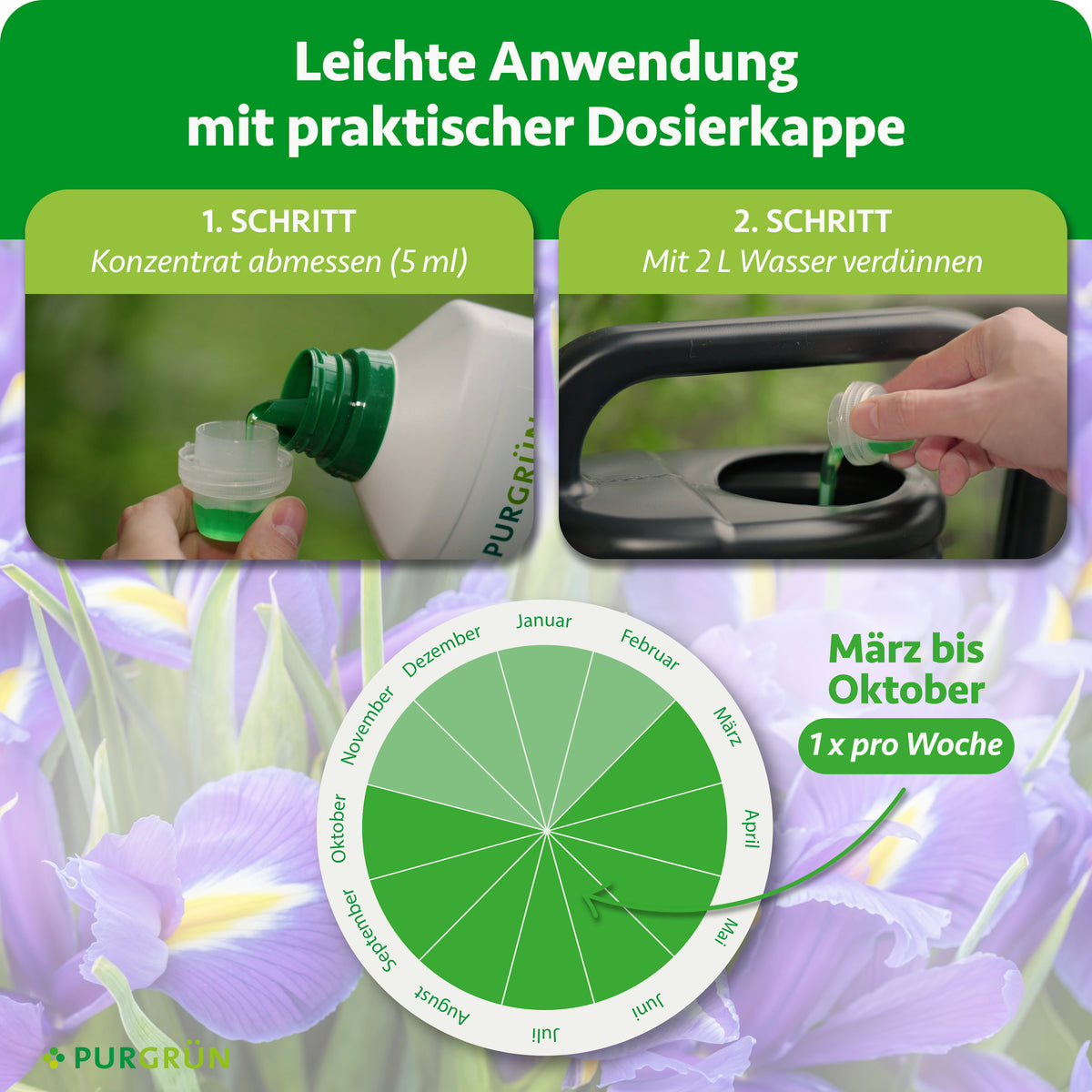 Anwendung: 5 ml Konzentrat abmessen, mit 2 Litern Wasser verdünnen und von März bis Oktober einmal pro Woche düngen.