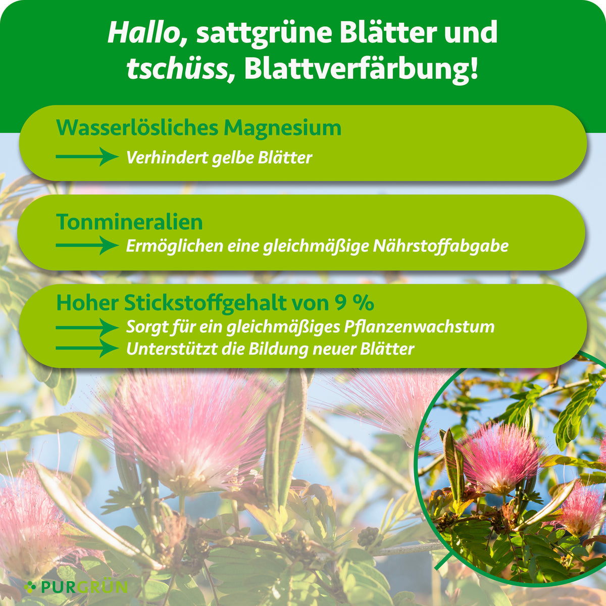 Wasserlösliches Magnesium verhindert gelbe Blätter, Tonmineralien ermöglichen eine gleichmäßige Nährstoffabgabe. 9 % Stickstoff fördern gleichmäßiges Pflanzenwachstum und die Bildung neuer Blätter.