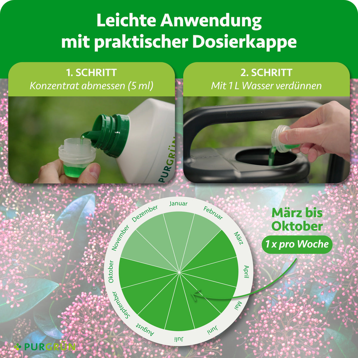 Anwendung: 5 ml Konzentrat abmessen, mit 1 Liter Wasser verdünnen und von März bis Oktober einmal pro Woche geben.
