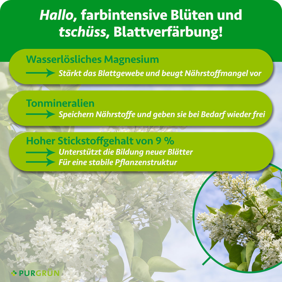Wasserlösliches Magnesium stärkt das Blattgewebe, Tonmineralien speichern Nährstoffe und 9 % Stickstoff unterstützen neue Blätter sowie eine stabile Pflanzenstruktur.