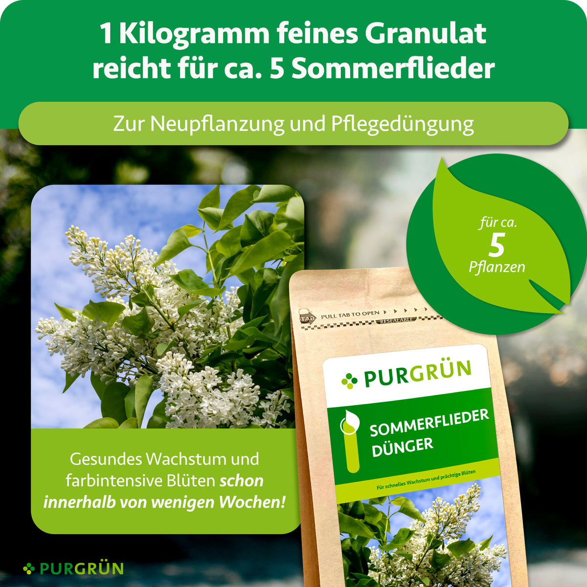 1 kg feines Granulat reicht für ca. 5 Sommerflieder und eignet sich zur Neupflanzung und Pflegedüngung.