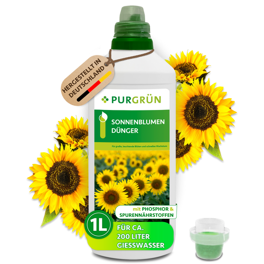 Purgrün Sonnenblumen-Dünger in der 1-Liter-Flasche mit Dosierkappe und Sonnenblumen; ausreichend für ca. 200 Liter Gießwasser.