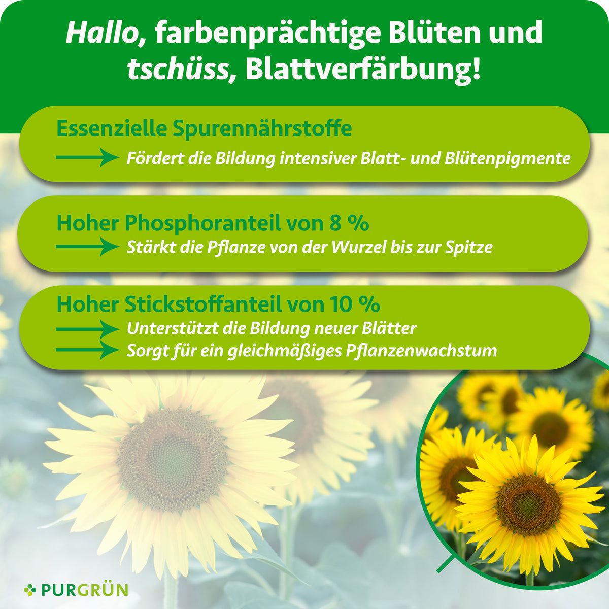 Essenzielle Spurennährstoffe fördern intensive Blatt- und Blütenpigmente; 8 % Phosphor stärkt die Pflanze, 10 % Stickstoff unterstützt neue Blätter und gleichmäßiges Wachstum.