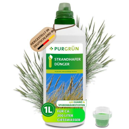 Purgrün Strandhafer-Dünger in der 1-Liter-Flasche mit Dosierkappe, hergestellt in Deutschland und ausreichend für ca. 200 Liter Gießwasser.