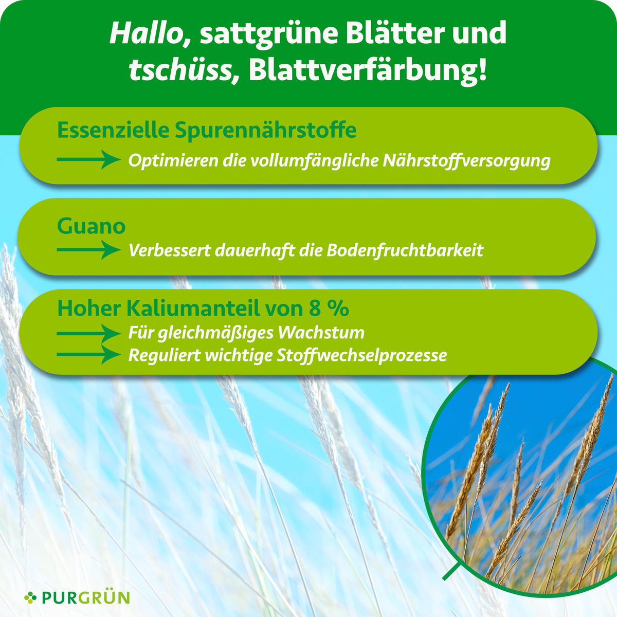 Essenzielle Spurennährstoffe optimieren die Nährstoffversorgung, Guano verbessert dauerhaft die Bodenfruchtbarkeit und 8 % Kalium unterstützen gleichmäßiges Wachstum sowie wichtige Stoffwechselprozesse.