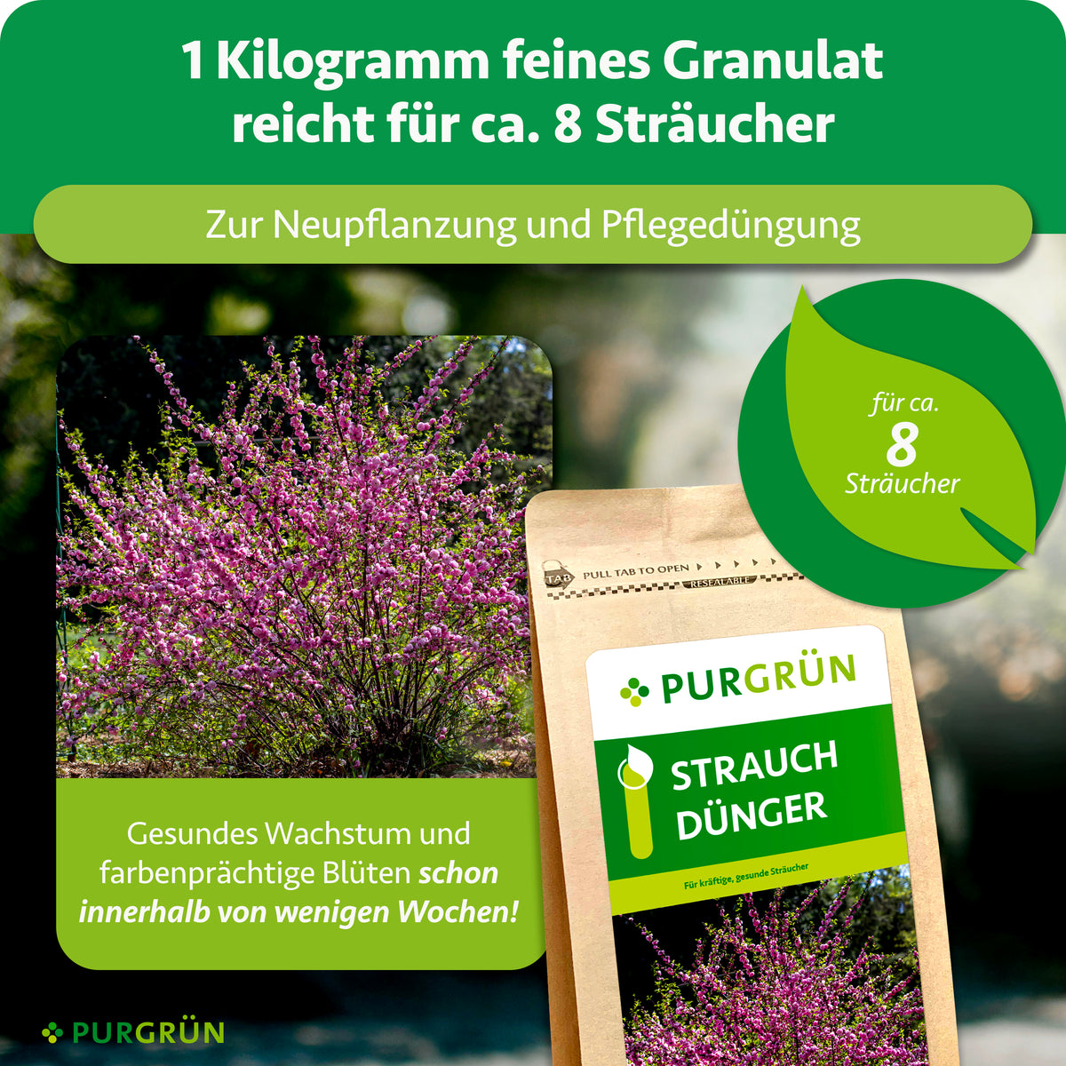 1 Kilogramm feines Granulat reicht für ca. 8 Sträucher und ist zur Neupflanzung sowie Pflegedüngung vorgesehen. Beworben werden gesundes Wachstum und farbenprächtige Blüten innerhalb weniger Wochen.