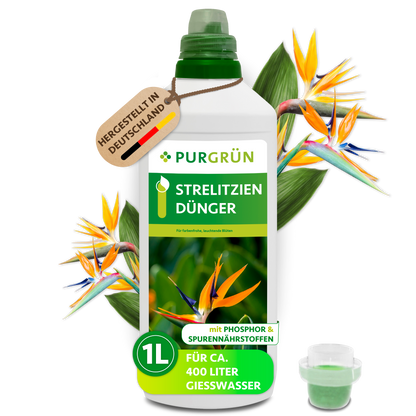 Purgrün Strelitzien-Dünger, 1 Liter, mit Dosierkappe; Konzentrat für ca. 400 Liter Gießwasser.
