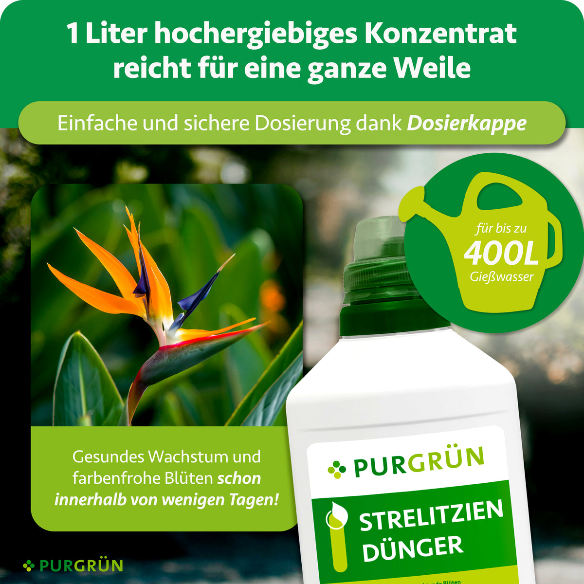 1 Liter hochergiebiges Konzentrat mit Dosierkappe reicht für bis zu 400 Liter Gießwasser; gesundes Wachstum und farbenfrohe Blüten schon innerhalb weniger Tage.